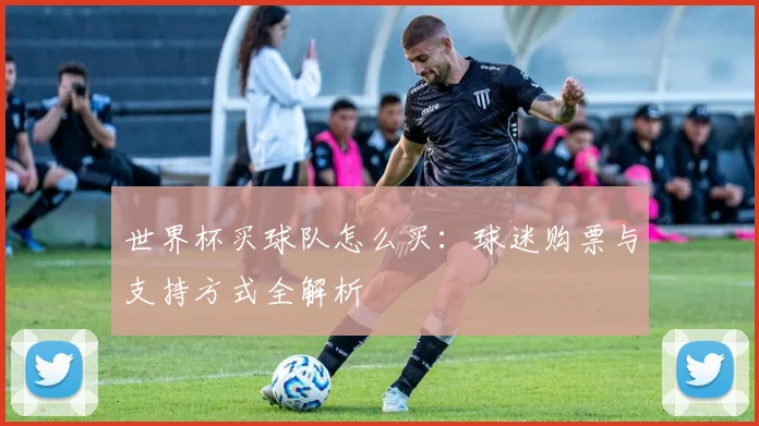 世界杯买球队怎么买:球迷购票与支持方式全解析