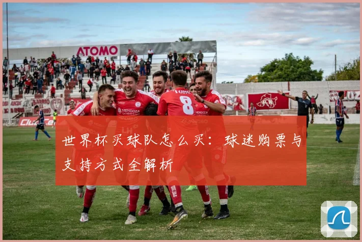 世界杯买球队怎么买:球迷购票与支持方式全解析