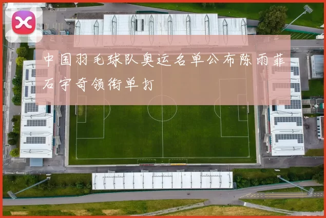 中国羽毛球队奥运名单公布陈雨菲石宇奇领衔单打