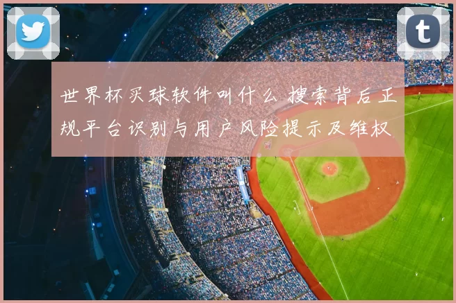 世界杯买球软件叫什么 搜索背后正规平台识别与用户风险提示及维权路径