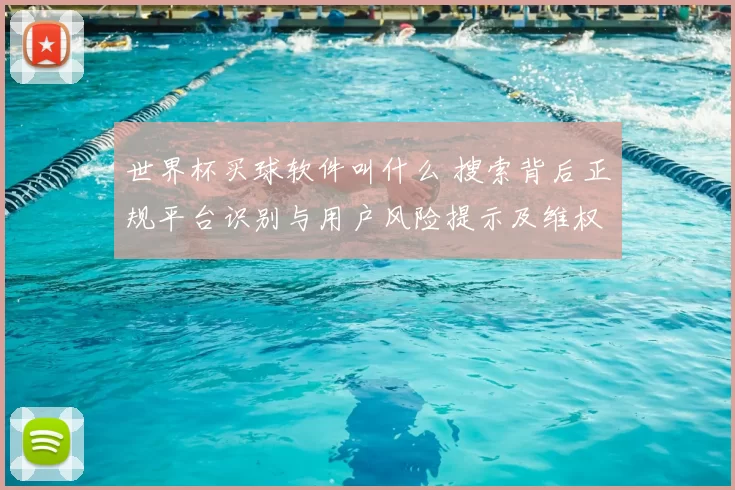 世界杯买球软件叫什么 搜索背后正规平台识别与用户风险提示及维权路径
