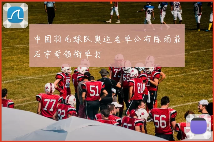 中国羽毛球队奥运名单公布陈雨菲石宇奇领衔单打